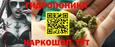 крисы Малоярославец