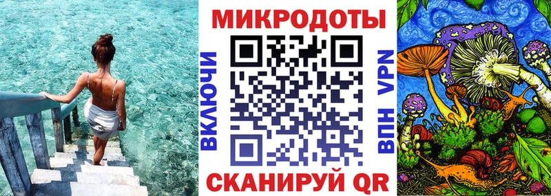 Псилоцибиновые грибы Psilocybine cubensis  Тавда 