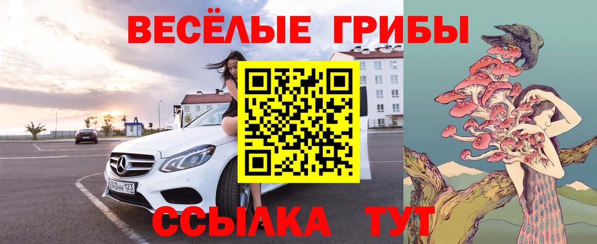Тавда  Псилоцибиновые грибы Magic Shrooms  Галлюциногенные грибы GOLDEN TEACHER  Вход с VPN 