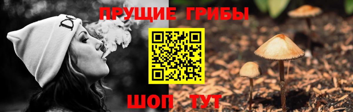 Галлюциногенные грибы прущие грибы Тавда